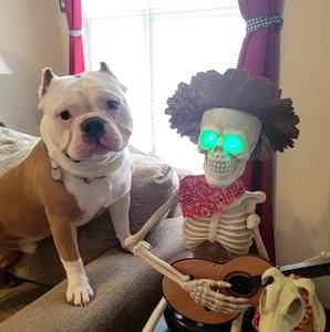 Meet your Posher, Leslie